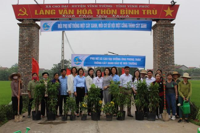 Chi Họ Tô Quang Cao Đại, Vĩnh Tường, Phú Thọ